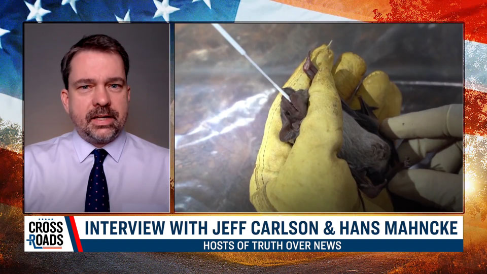 The COVID19 Origins Cover-Up