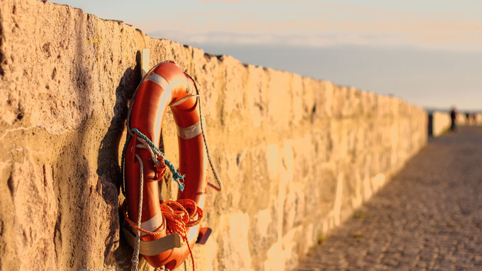 A Judge to the Rescue with Ivermectin!