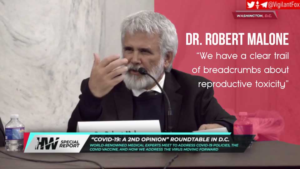 Vaccine Reproductive Toxicity – Dr. Malone
