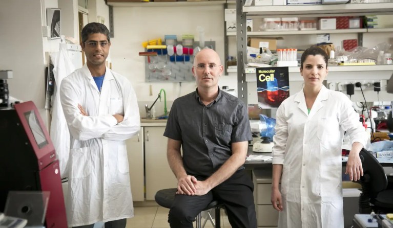 Israeli Professor: “Ministry of Health, it’s time to admit failure”