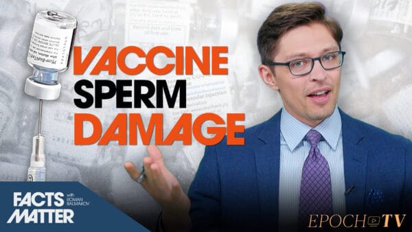 Vaccine Sperm Damage